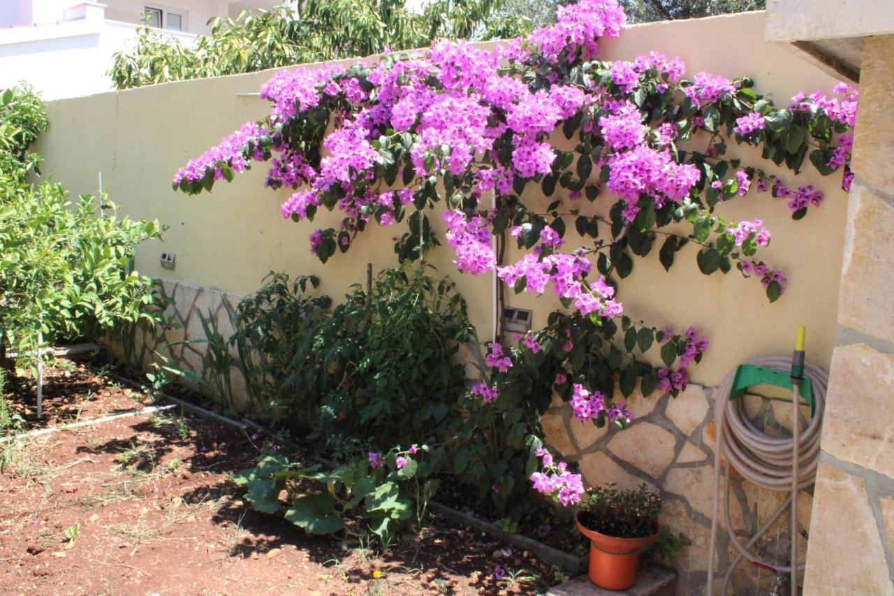 Apartments Villa Macola Трогир Екстериор снимка