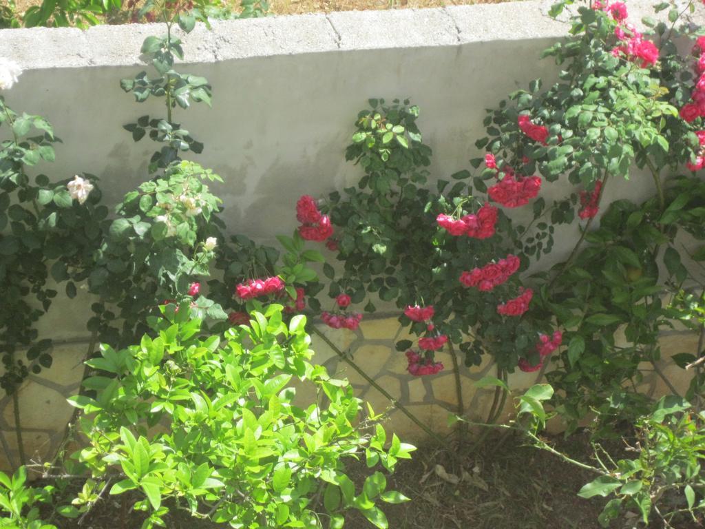 Apartments Villa Macola Трогир Екстериор снимка