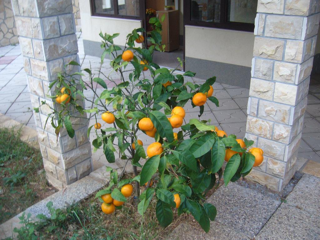 Apartments Villa Macola Трогир Екстериор снимка